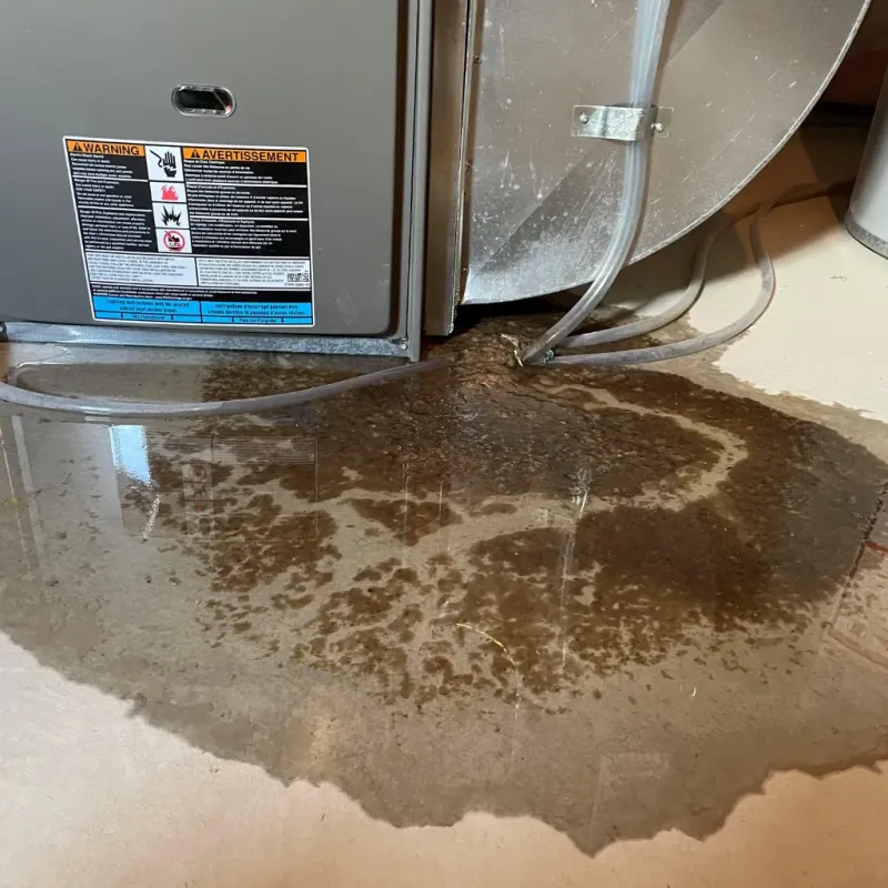 Appliance Leak Cleanup in Saint Dennis, KY